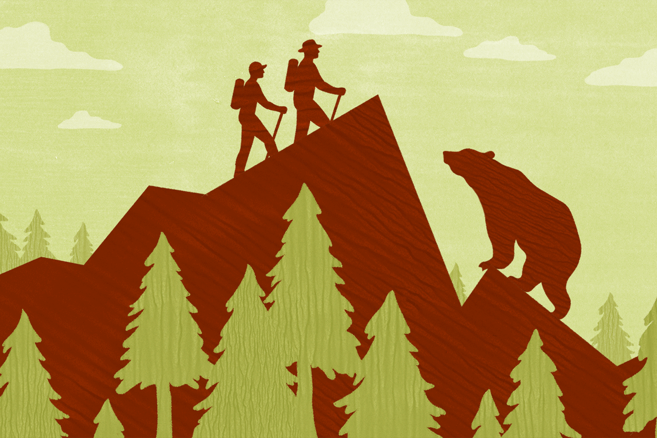The Bare Necessities You Need for a Bear Market