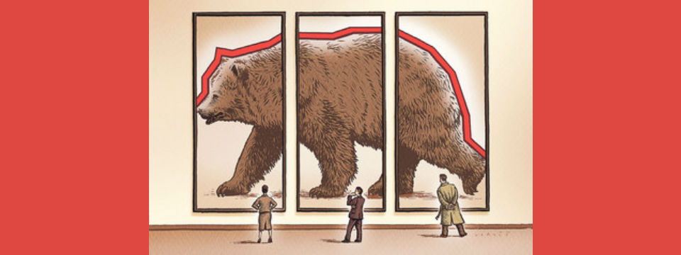 If It Looks Like a Bear…