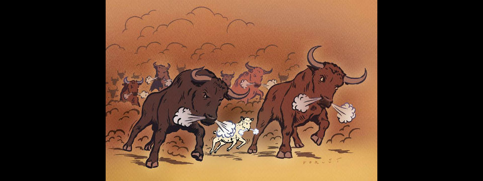 Don’t Let Other Investors Make Up Your Mind