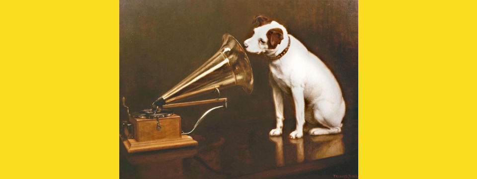 Radio and Podcasts