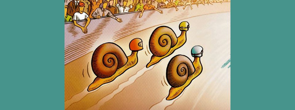 Here Comes the Slow-Stock Movement