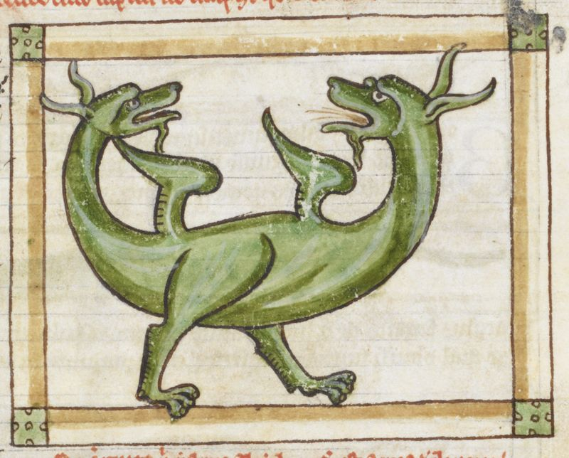 An Amphivena, at war with itself. From the bestiary in a religious text in one of the Harley manuscripts,
ca. 1236-1250, in the British Library.